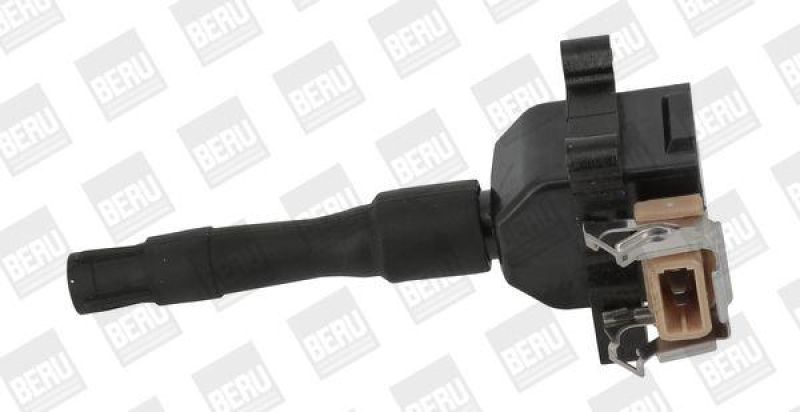 BorgWarner (BERU) Ignition Coil