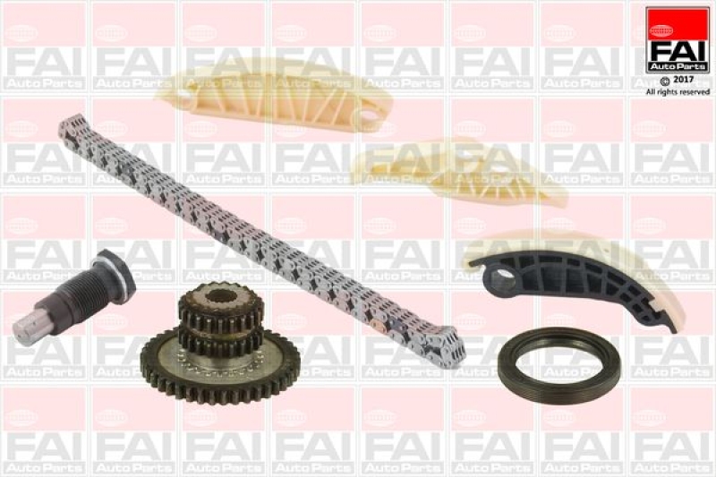 FAI AutoParts Timing Chain Kit