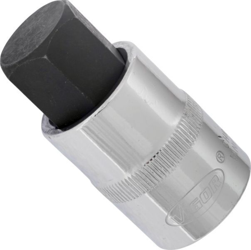 VIGOR Socket