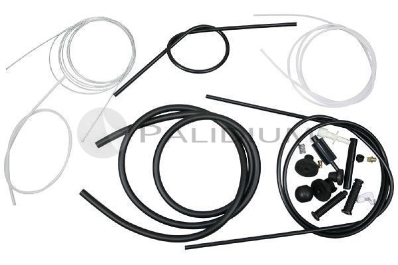 ASHUKI by Palidium Gaszug