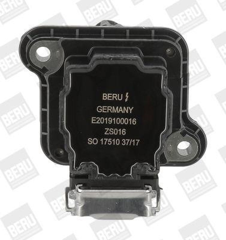 BorgWarner (BERU) Ignition Coil