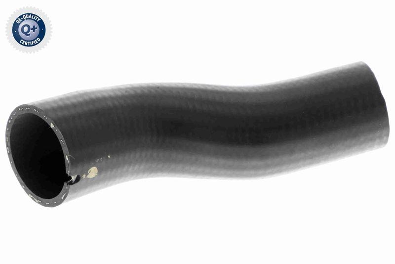 VAICO Charger Air Hose Q+, original equipment manufacturer quality