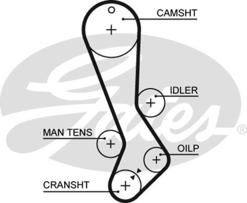 GATES Timing Belt PowerGrip®