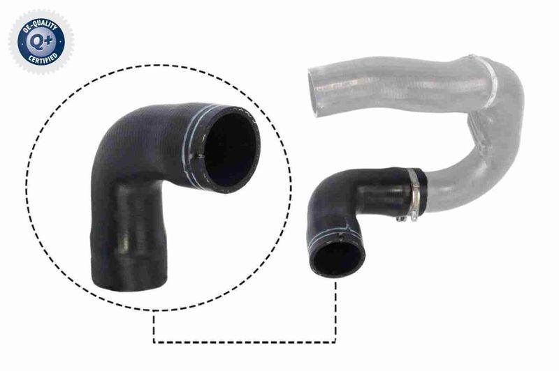 VAICO Ladeluftschlauch Q+, Erstausr&uuml;sterqualit&auml;t V24-0716