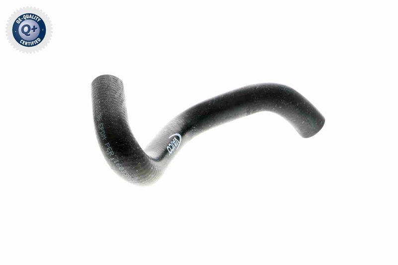 VAICO K&uuml;hlerschlauch Q+, Erstausr&uuml;sterqualit&auml;t V10-0365