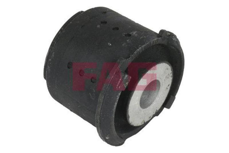 Schaeffler FAG Lagerung, Lenker