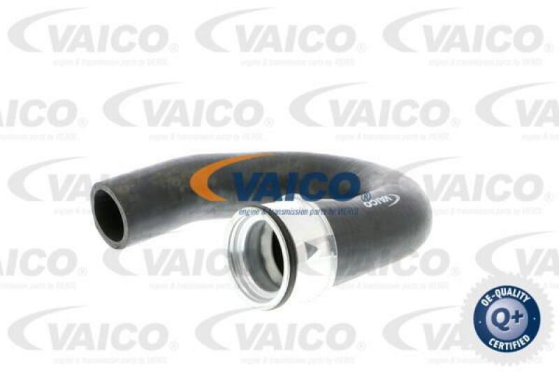 VAICO Charger Air Hose Q+, original equipment manufacturer quality