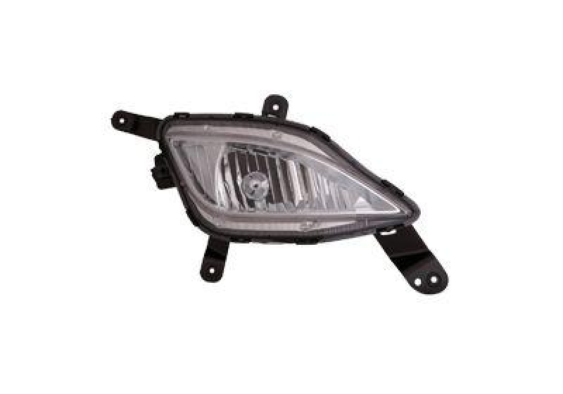 VAN WEZEL Fog Light