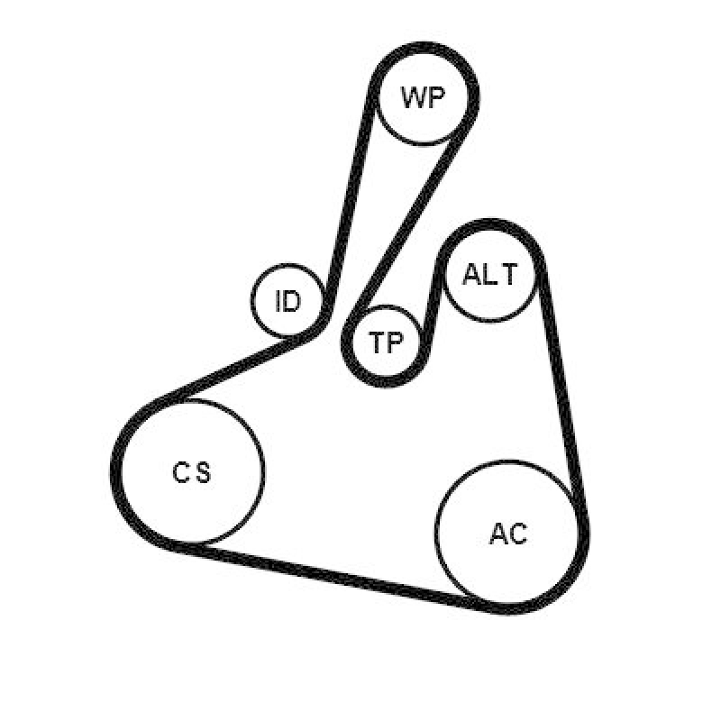 CONTINENTAL CTAM Keilrippenriemensatz 6PK1502 EXTRA K1