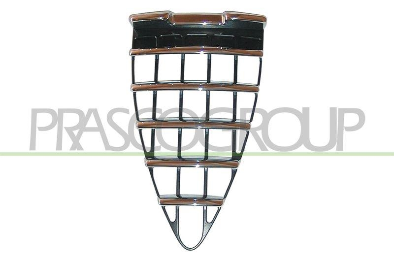 Radiator Grille Premium