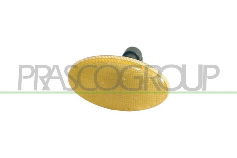 PRASCO Blinkleuchte Blinker FT1134039