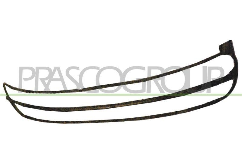 Frame, radiator grille