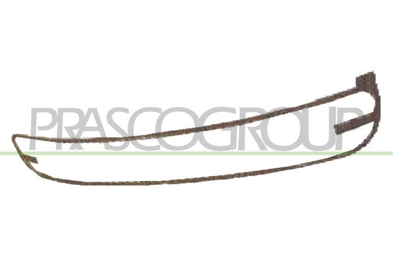 Frame, radiator grille