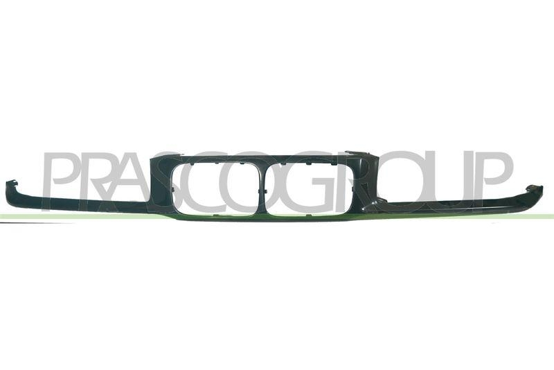 Frame, radiator grille