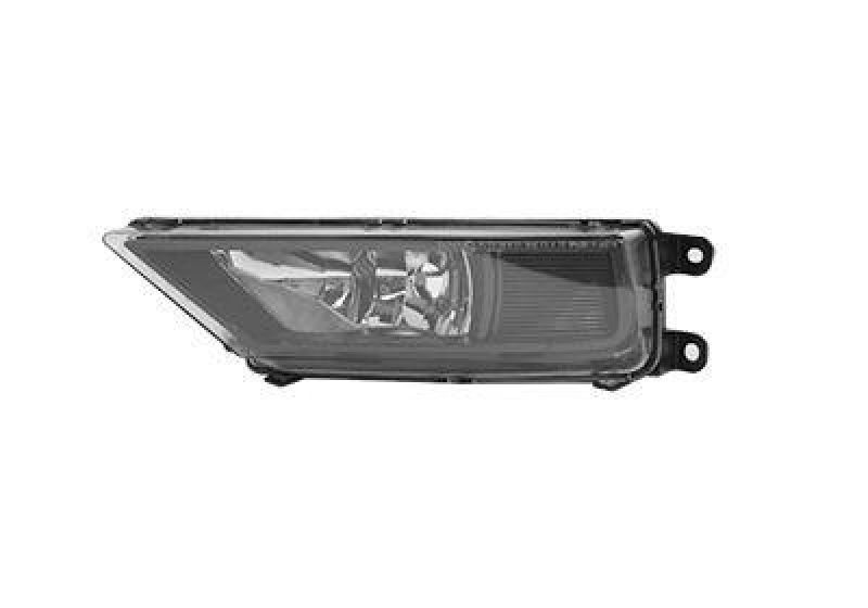 VAN WEZEL Fog Light