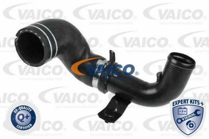 VAICO Charger Air Hose EXPERT KITS +