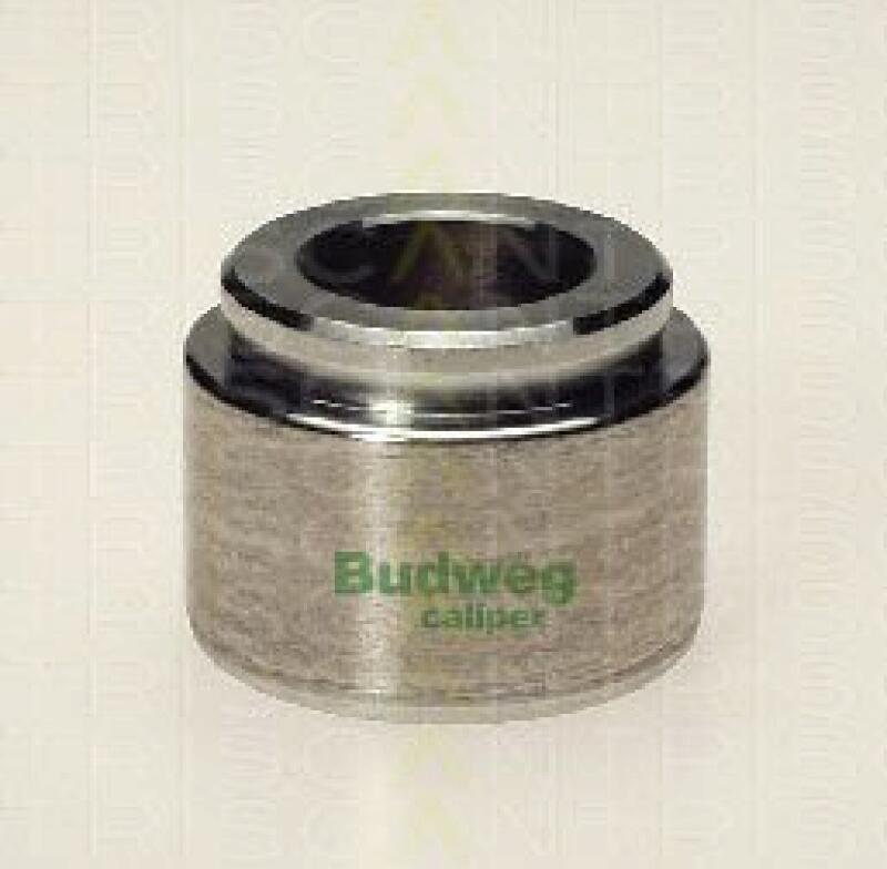 TRISCAN Piston, brake caliper