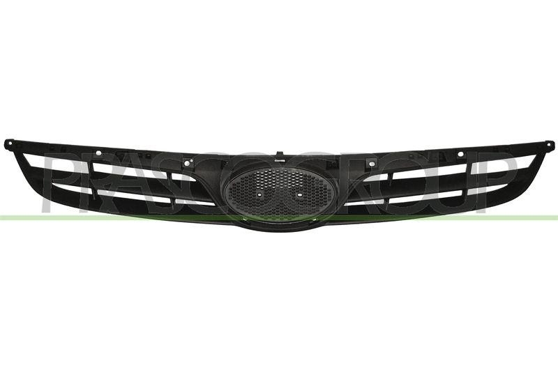 Radiator Grille Premium