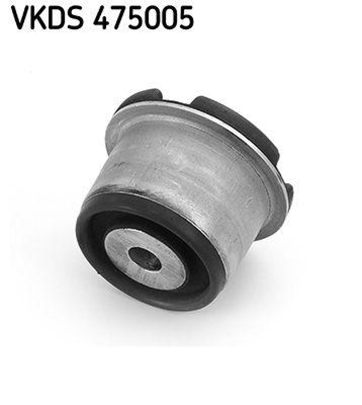 SKF Achskörper