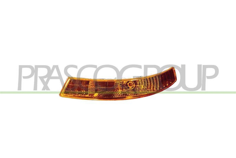 PRASCO Blinkleuchte Blinker RN9324104