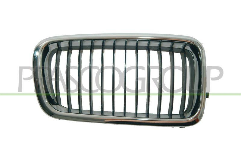 Radiator Grille
