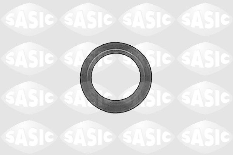 SASIC Wellendichtring, Differential