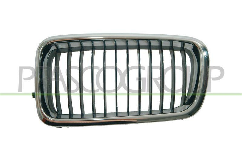 Radiator Grille