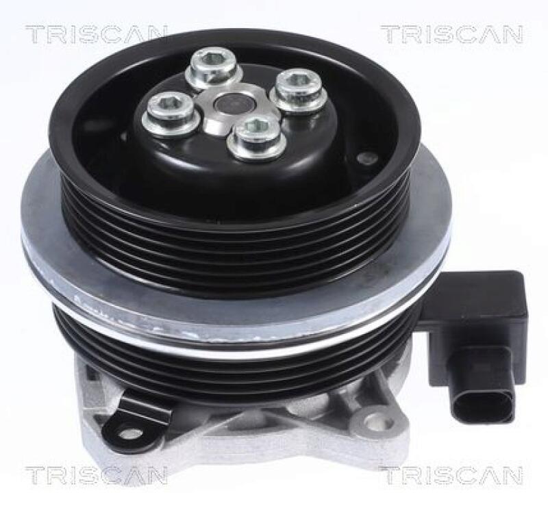 TRISCAN Water Pump