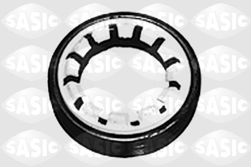 SASIC Wellendichtring, Differential
