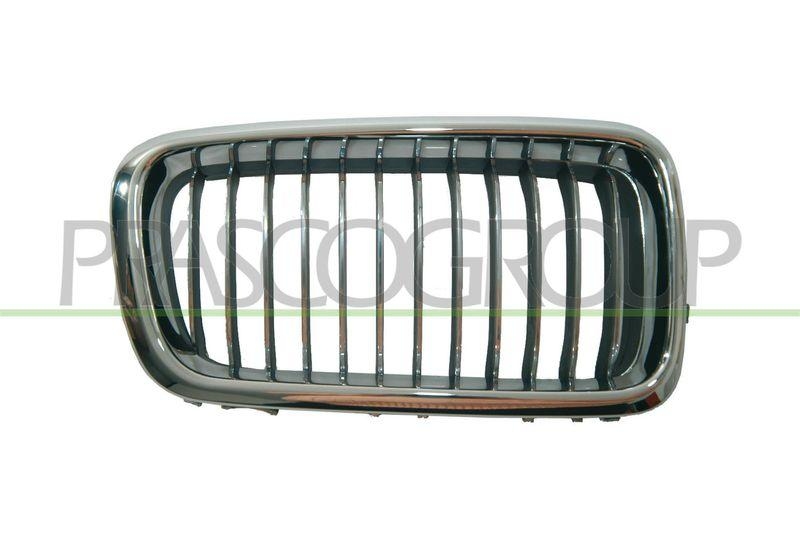 Radiator Grille