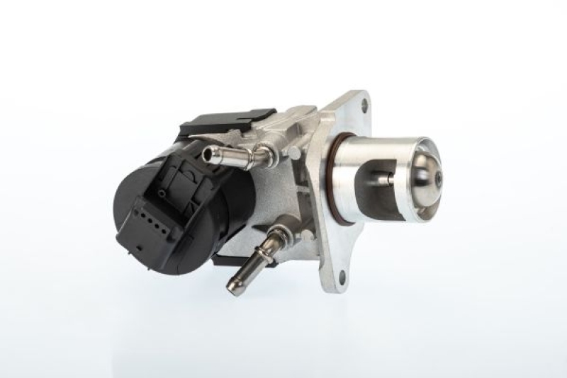 BorgWarner (Wahler) EGR Valve OE-Version/Genuine