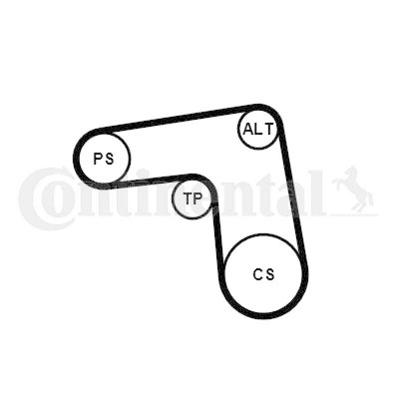 CONTINENTAL CTAM V-Ribbed Belt Set