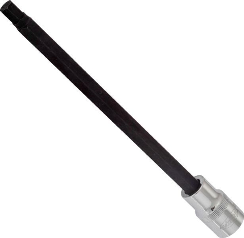 VIGOR Socket