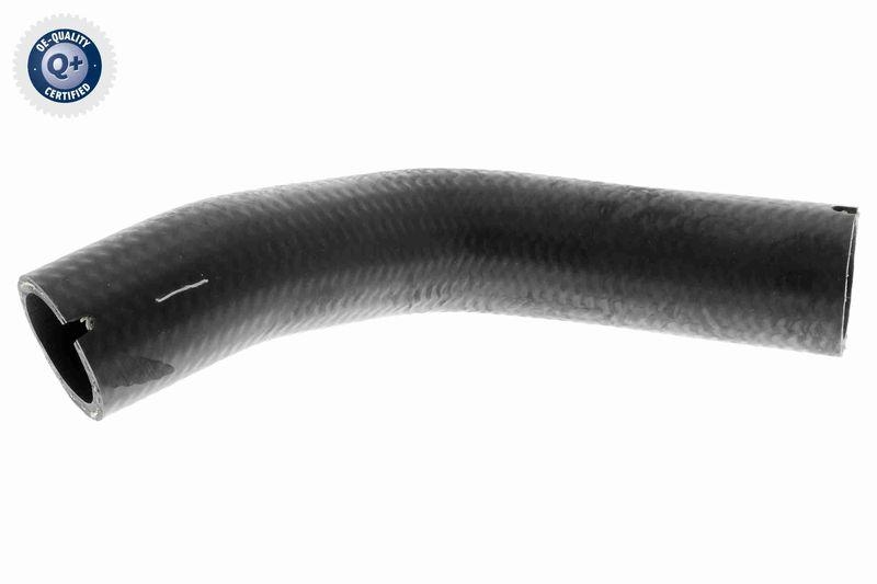 VAICO Charger Air Hose Q+, original equipment manufacturer quality