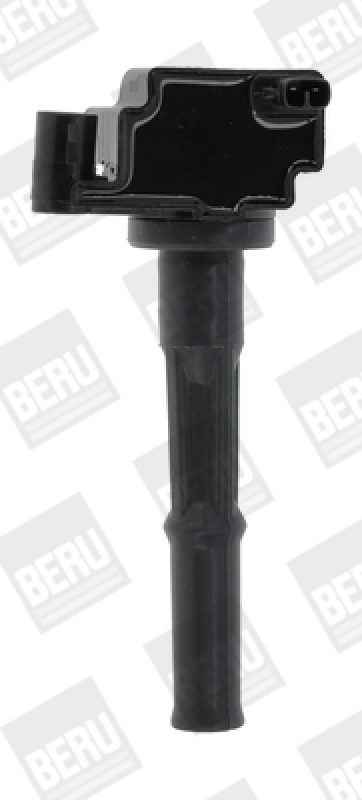 BorgWarner (BERU) Ignition Coil