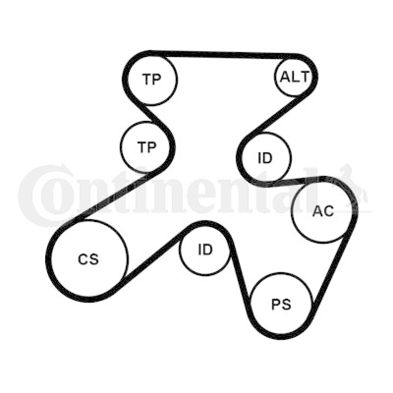 CONTINENTAL CTAM V-Ribbed Belt Set