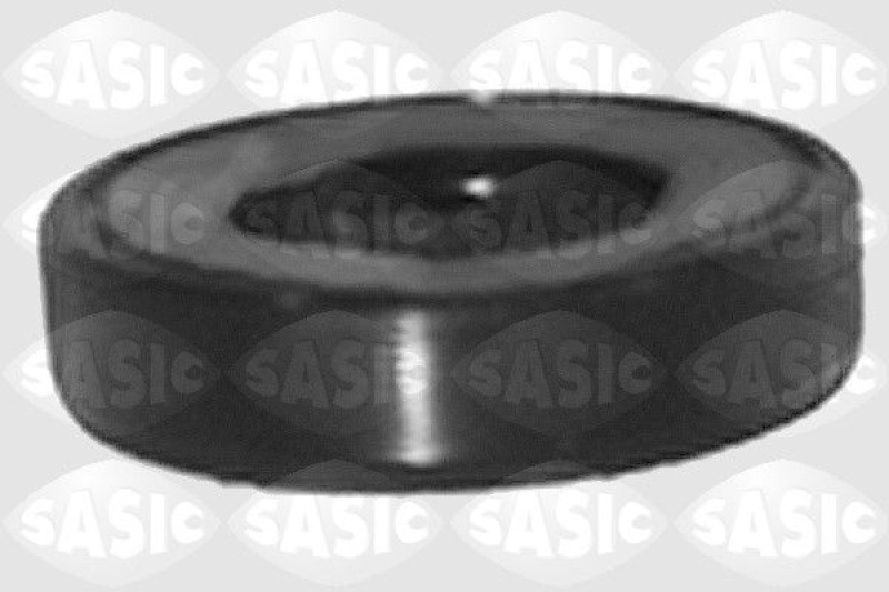 SASIC Shaft Seal, differential