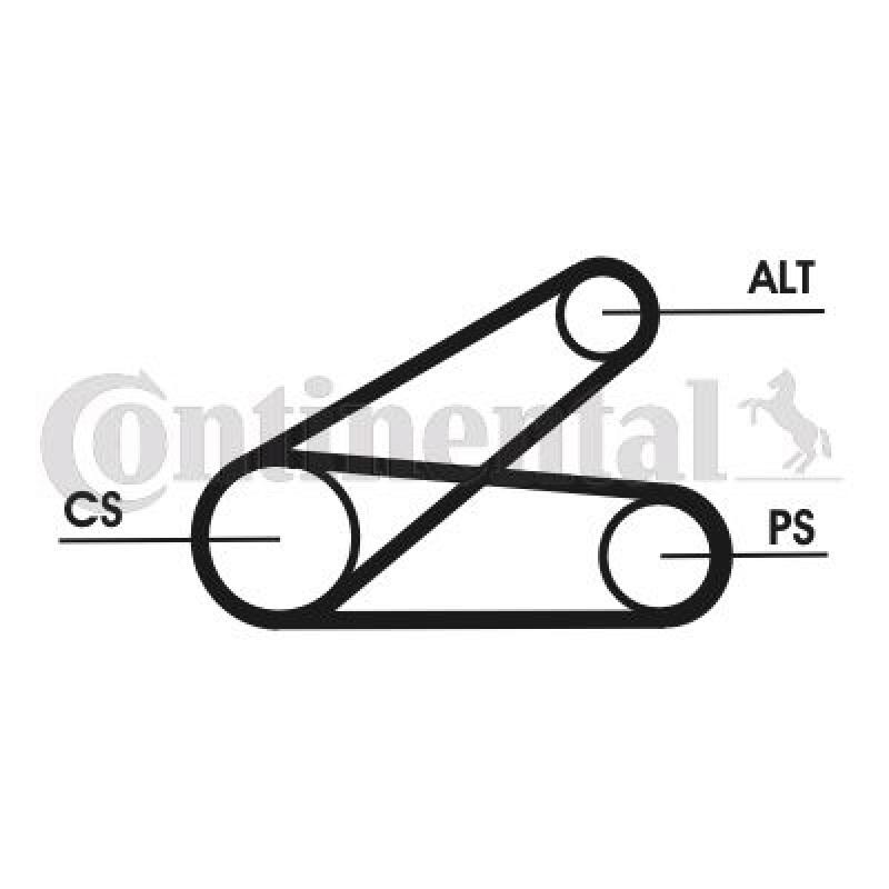 CONTINENTAL CTAM V-Ribbed Belt Set