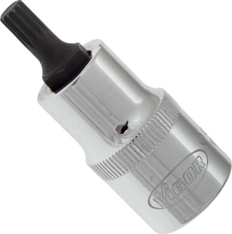 VIGOR Socket