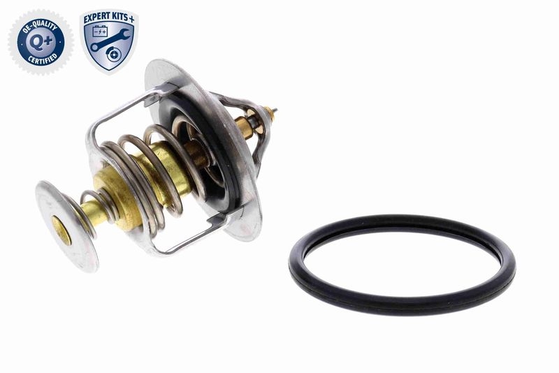 ACKOJA Thermostat, coolant EXPERT KITS +