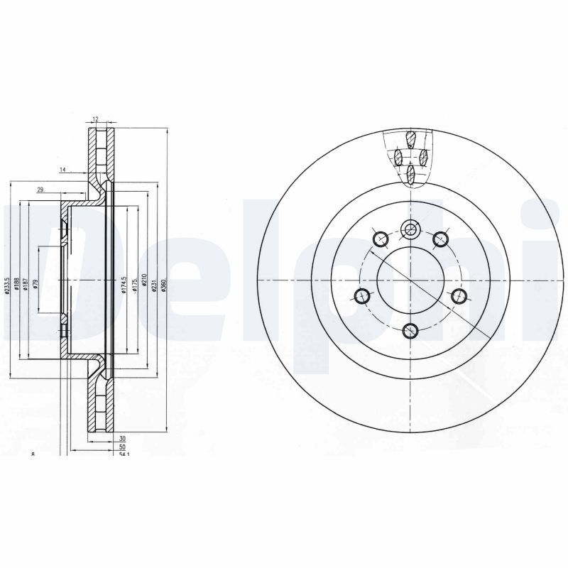 2x DELPHI Bremsscheibe