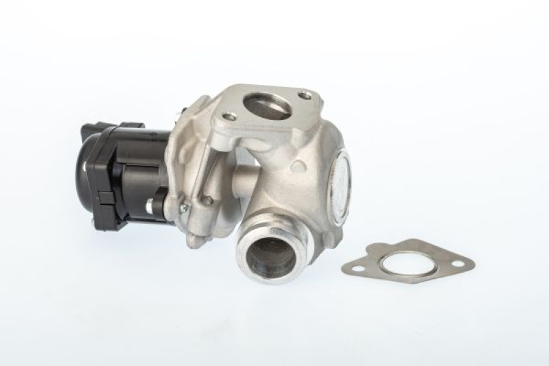 BorgWarner (Wahler) AGR-Ventil