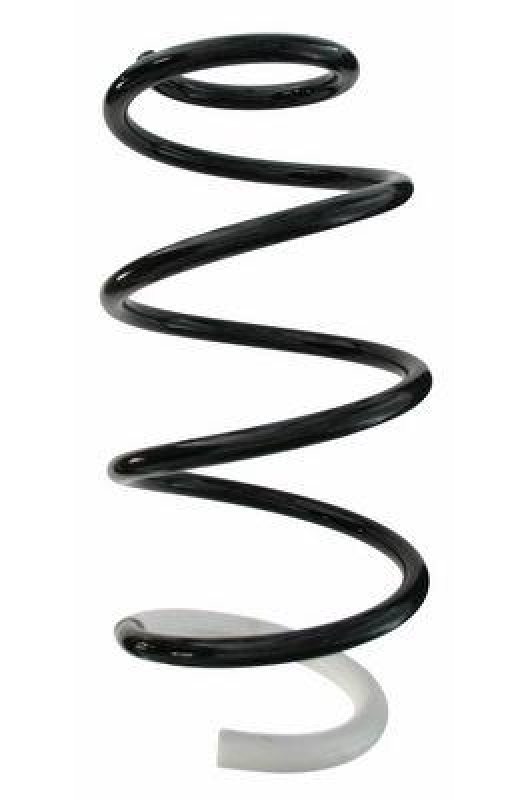 SPIDAN Suspension Spring