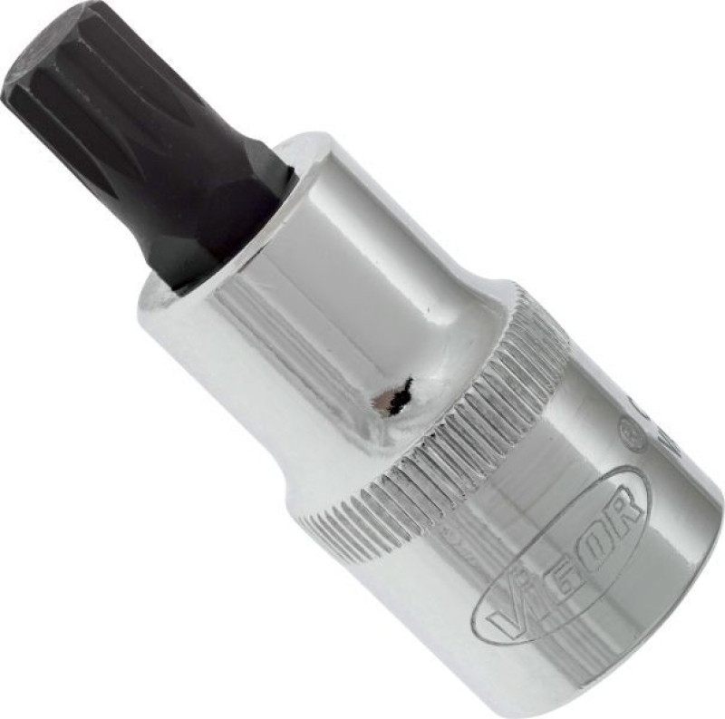 VIGOR Socket