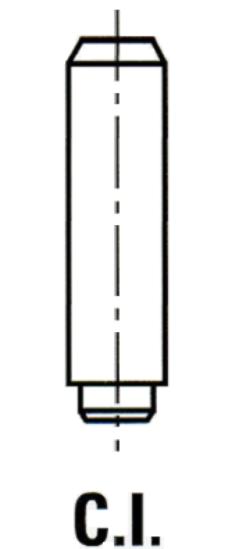 IPSA Ventilführung