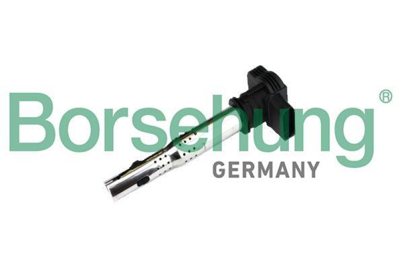 Borsehung Zündspule
