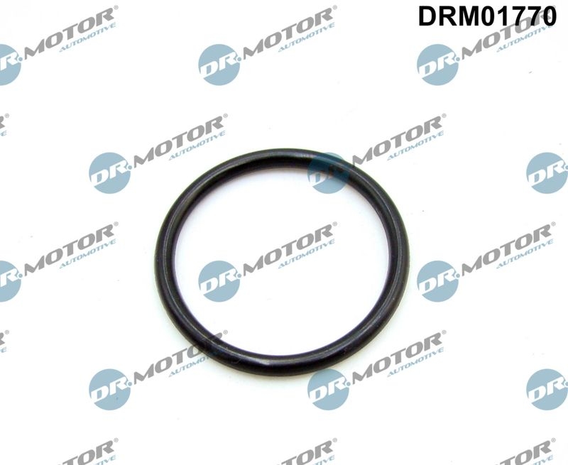 Dr.Motor Automotive Gasket, intake manifold