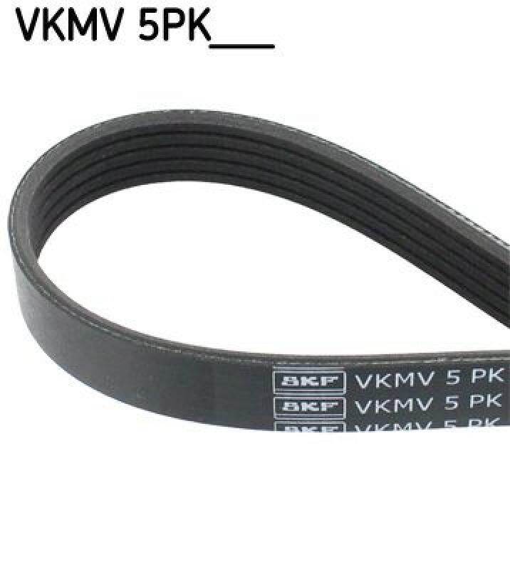 SKF V-Ribbed Belt