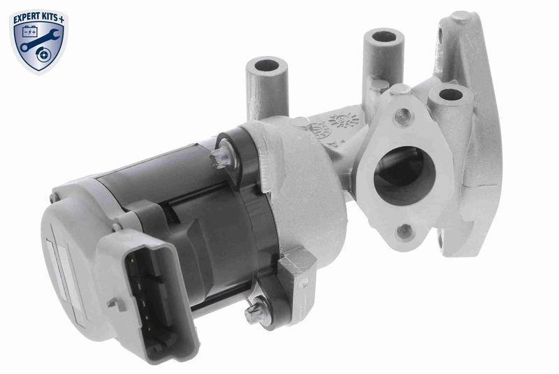 VEMO AGR-Ventil EXPERT KITS + V48-63-0002
