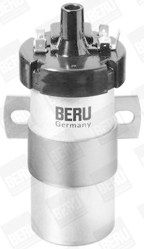 BorgWarner (BERU) Ignition Coil